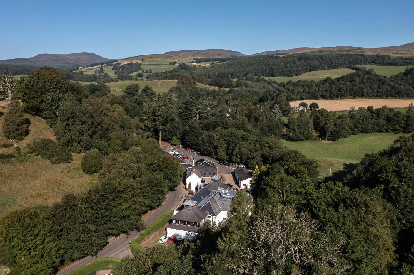 0x0 1 | DangTau Whisky