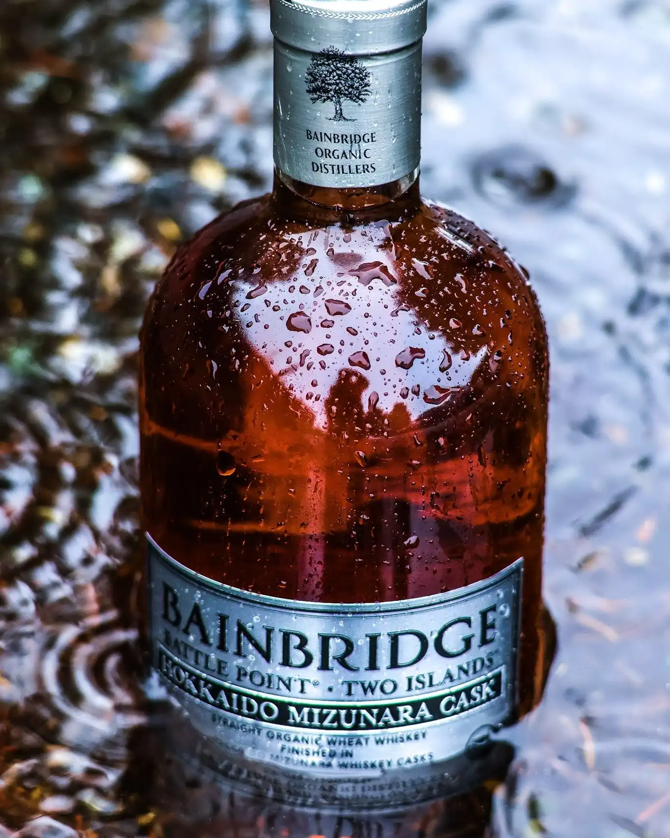 469585391 1105866968213472 6827655993538103076 n | DangTau Whisky