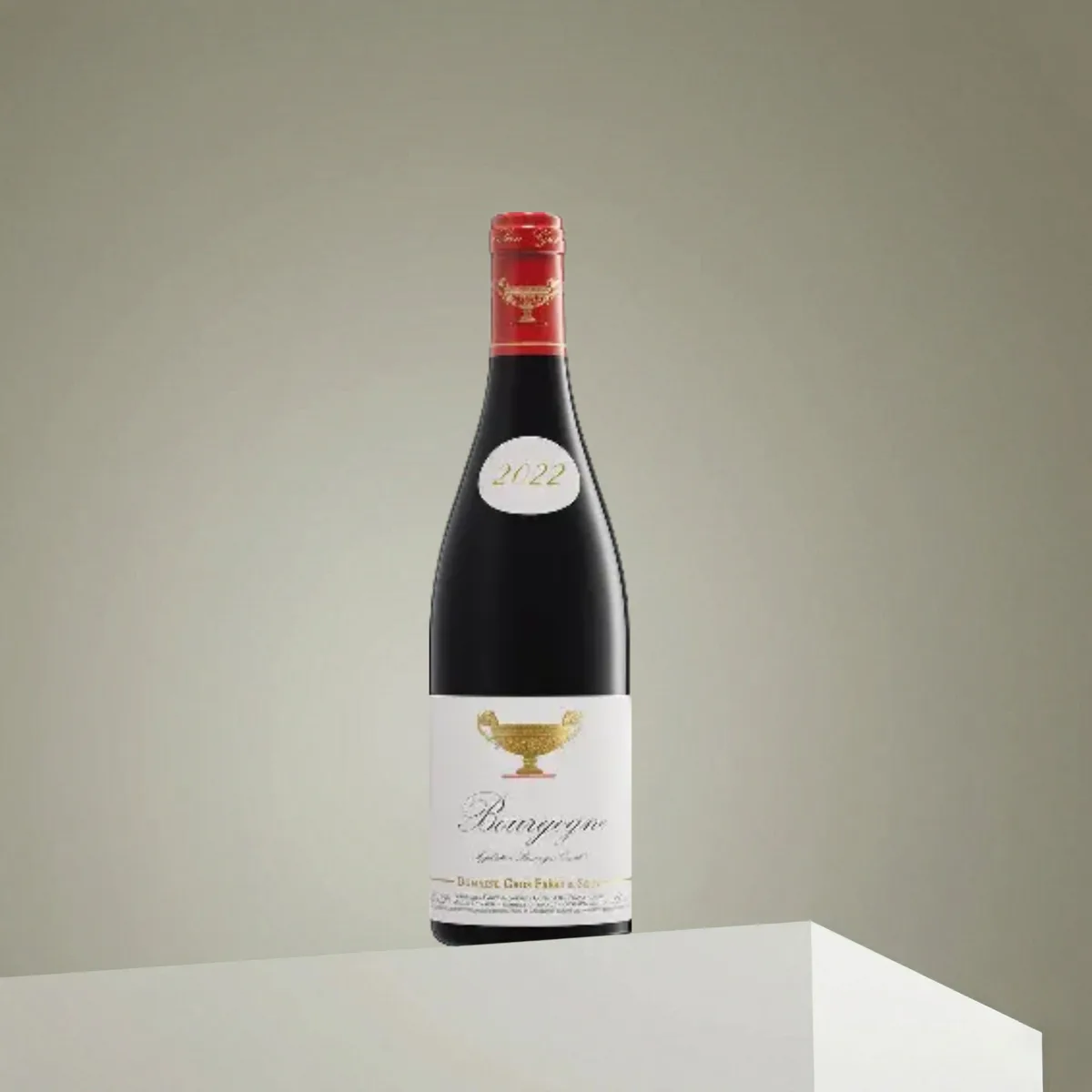 Domaine Gros Frere et Soeur 2022 | DangTau Whisky